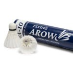FA-10 feather shuttlecock for coaching