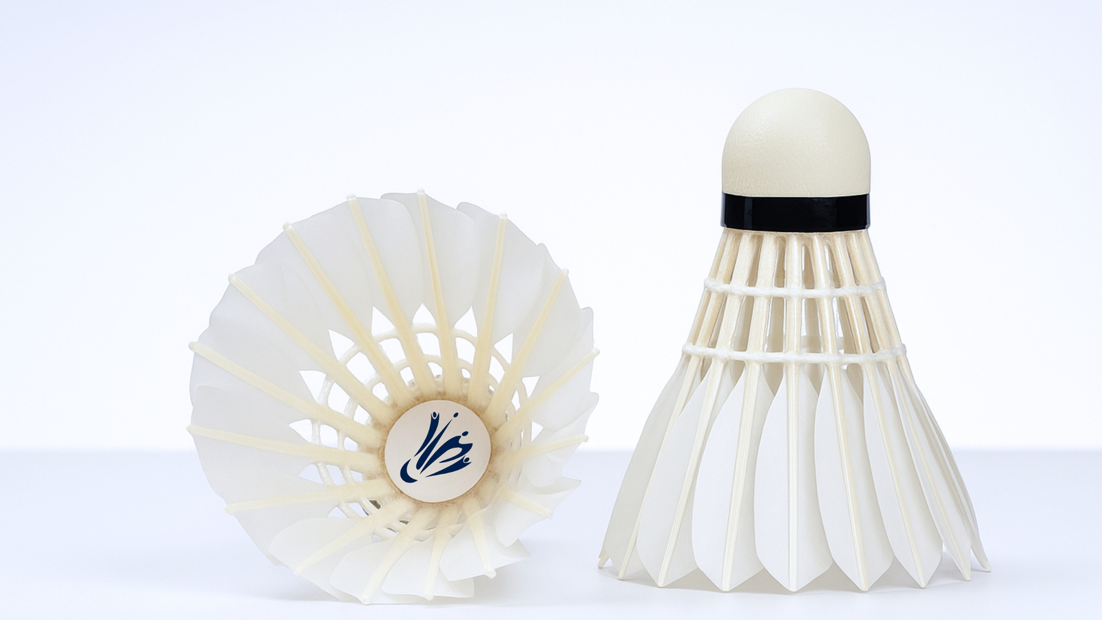 Closeup of 2 Shuttles -Tournament Flight Balance