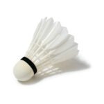 feather shuttlecock